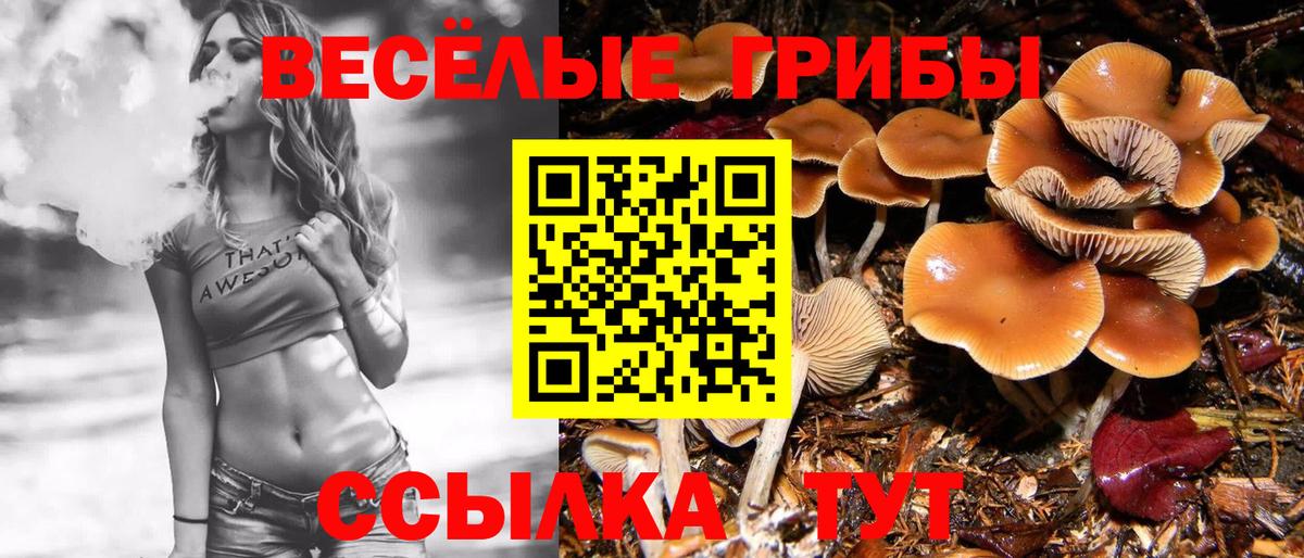закладка  Псилоцибиновые грибы GOLDEN TEACHER  Вход с VPN  Дубна 